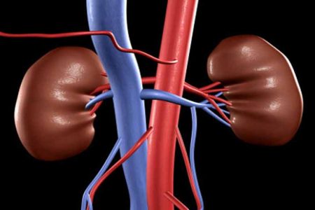NephroPlus Introduces Freedom- A Peritoneal Dialysis Programme