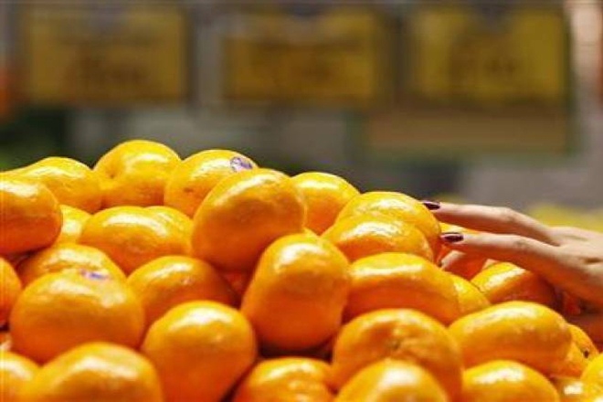 "Our results indicate that in the future we can use citrus flavanones to prevent or delay chronic diseases caused by obesity in humans," said Paula S. Ferreira, a graduate student at Universidade Estadual Paulista (UNESP) in Brazil. (Reuters)