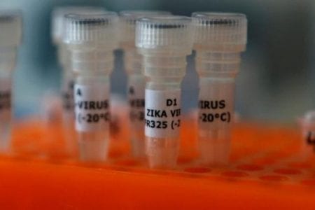 Structures of spherical viruses aren’t as perfect