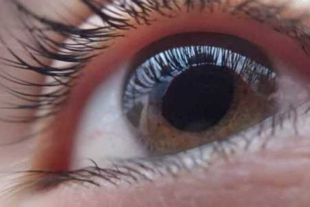 US FDA approves first artificial iris