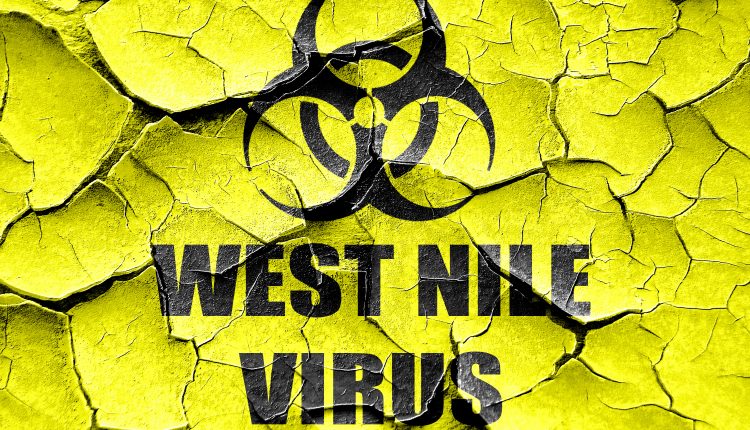 Grunge cracked West nile virus concept background