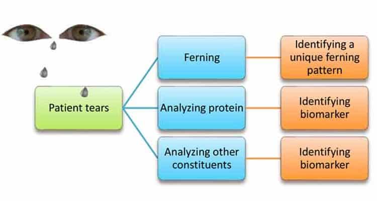 EH_Dr_Anjali_Fern_TearsGraph_888