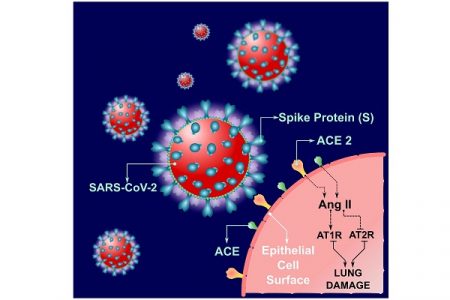 VIT team aim to develop aptamer-based handheld biosensors for COVID-19 diagnosis