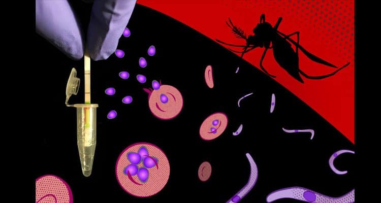 EH_Malaria-Diagnostic-illustration_SHERLOCK_Wyss-Institute-Boston_888