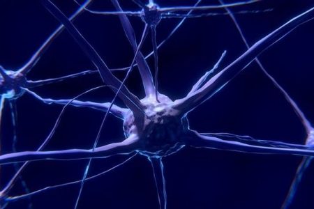 Gene variants may determine survival in Parkinson’s patients: Study