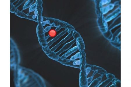 There is a need for new IVD products for rare diseases: GlobalData