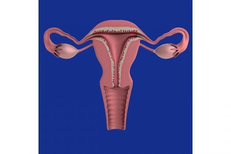 The Endometriosis Foundation of India launched in Hyderabad