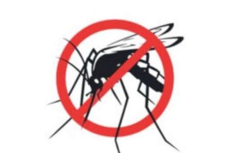 On National Dengue Day experts highlight urgency on awareness, prevention and timely intervention