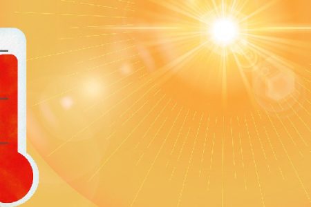 Union Health Ministry holds review meeting on heatwave preparedness