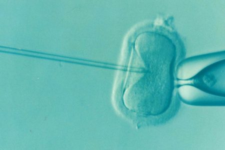 ReadyToBeMom launches IVF awareness and education initiative on World IVF Day 2024